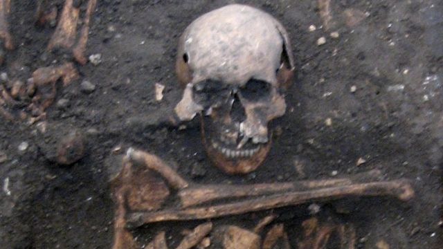 Skeleton of a late 14th century young adult male buried in Cambridge