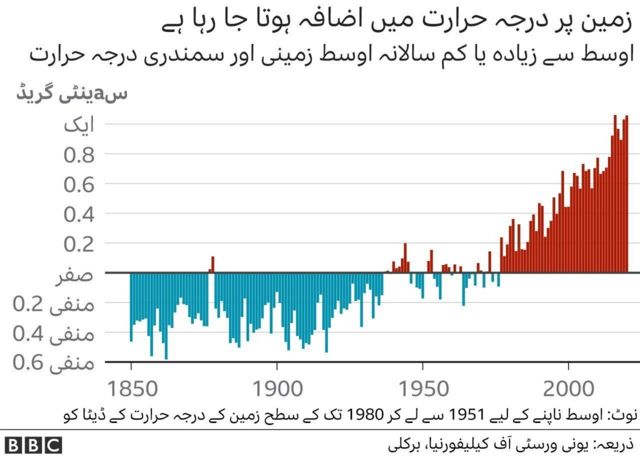 گرافکس