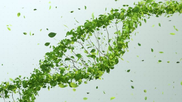 An illustration of a DNA strand made from leaves