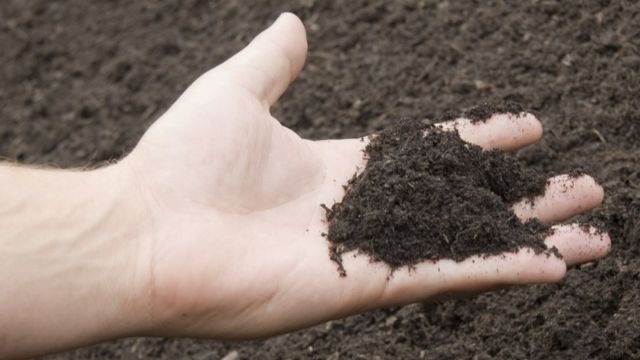 Foto genérica de mão com terra