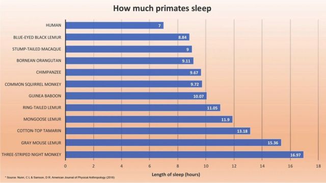Tabela de comparação do sono dos primatas
