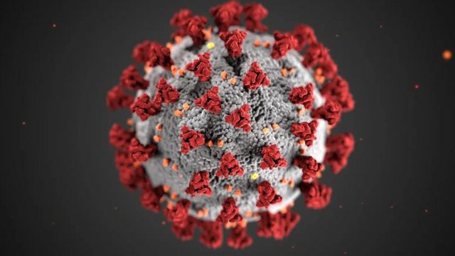النتوءات الشوكية التي ترصع سطح فيروس كوفيد 19 تساعده على اختراق الخلايا، وهي أيضاً أجسام مضادة مستهدفة
