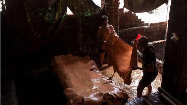 বাংলাদেশে কোরবানির সময় চামড়ার চাহিদার ষাট শতাংশ পূরণ হয়ে থাকে