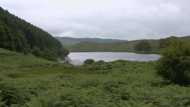 Loch nan Druimnean