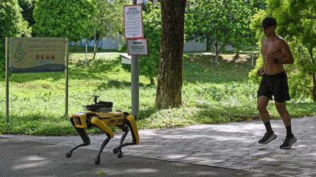 Cachorro robô em parque de Cingapura