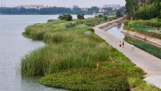 这是福建向金门供水工程取水地——福建晋江龙湖。