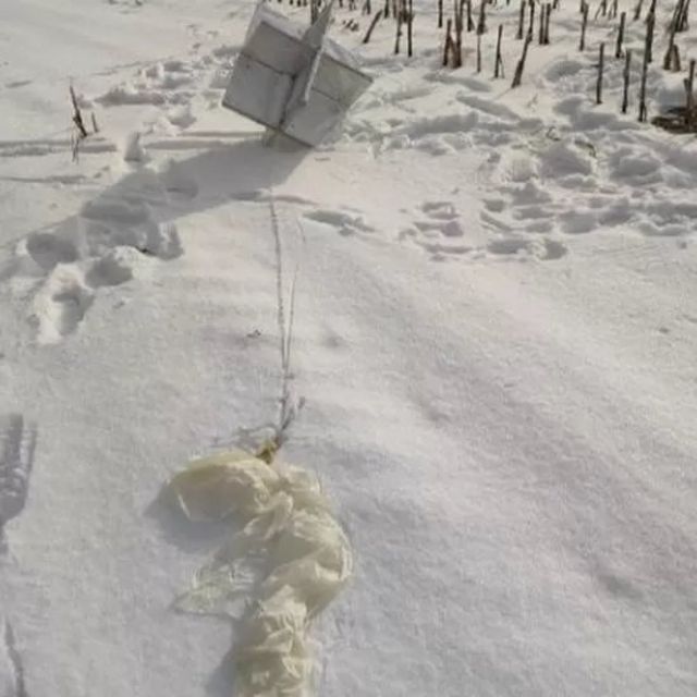 куля