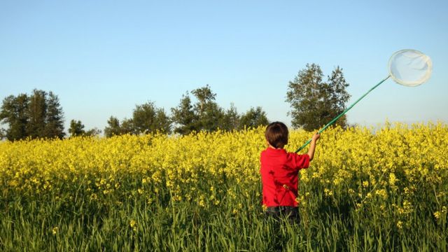 Фото Пацан В Поле