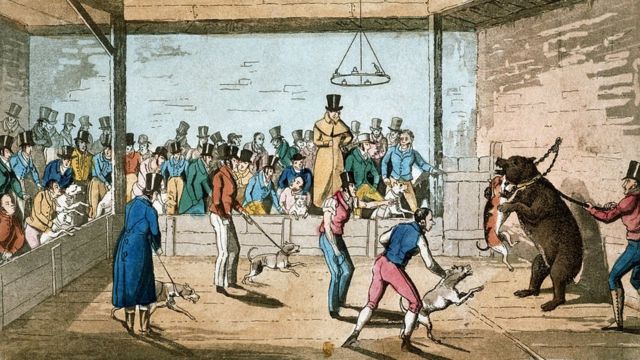 1820'de Londra'da bir hayvan dövüşü ilüstrasyonu