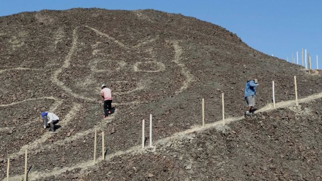 У Перу виявили гігантський геогліф кота. Йому понад 2 тисячі років