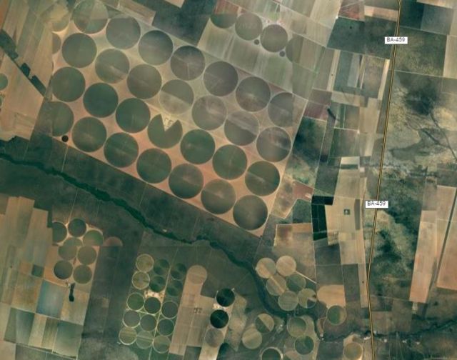 Áreas de plantação de soja ao lado do rio Formoso, na Bahia. Os círculos são pontos com pivô central de irrigação