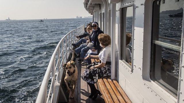 Boji, o cachorro de rua, sentado em um assento dentro de um bonde em Istambul