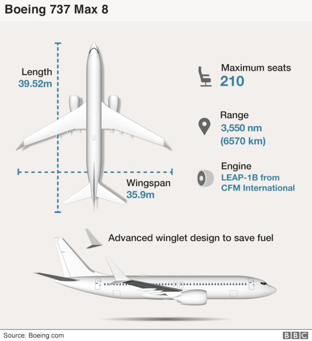 Infographic of the Boeing 737 Max 8