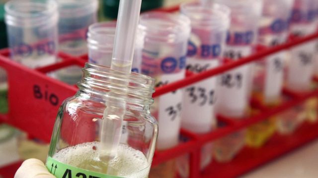 7 тем недели, которые вы могли пропустить - BBC News Русская служба