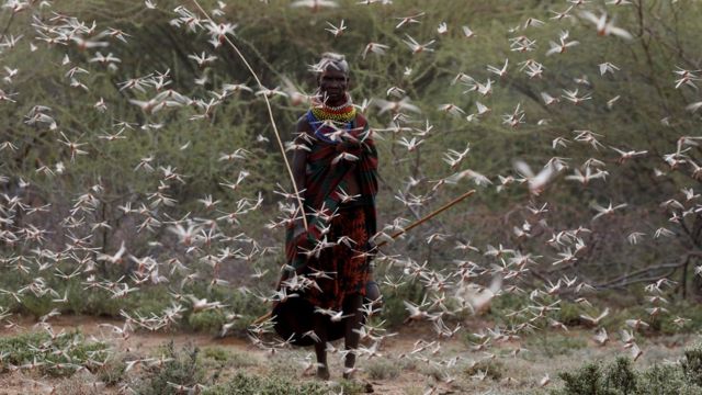 केन्याई महिला