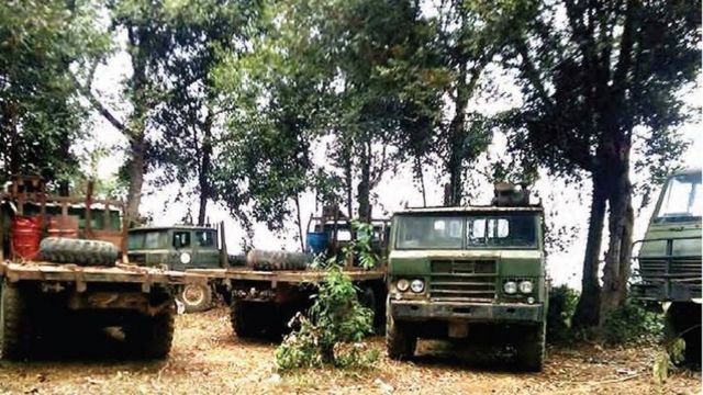illegal logging, chinese