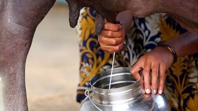 కృష్ణా మిల్క్ యూనియన్