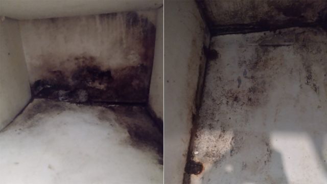 The 4 ways black mould can harm your child's health after boy, 2, dies in  infested flat