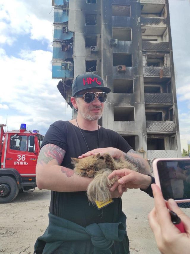 порятунок кішки