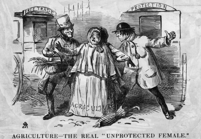 漫画，一个标有“农业”的乡村妇女被两个男人“自由贸易”和“保护”纠缠的情景。1846年Punch漫画
