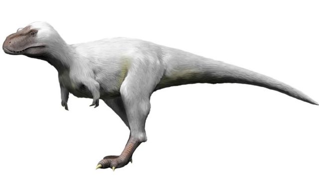 Desenho do nanuquessauro, um dinoassauro de coloração branca