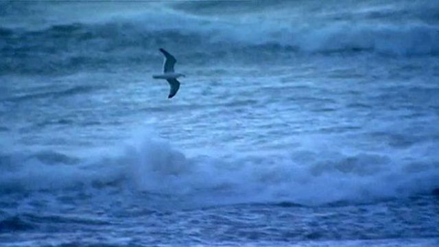 Passei 28 horas nadando em mar aberto para salvar minha vida' - BBC News  Brasil