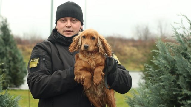 "Тварини хабарів не беруть". Як влаштоване життя собаки-прикордонника