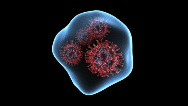 கொரோனா வைரஸ் - கோப்பு படம்