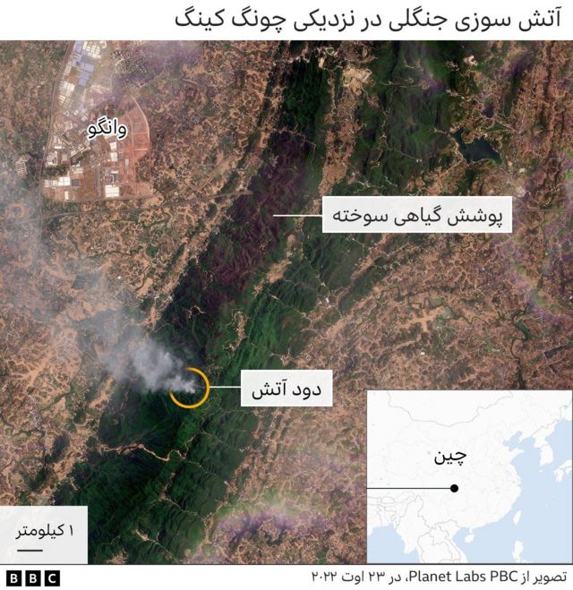 Satellite image shows scars of forest fire near Chongqing