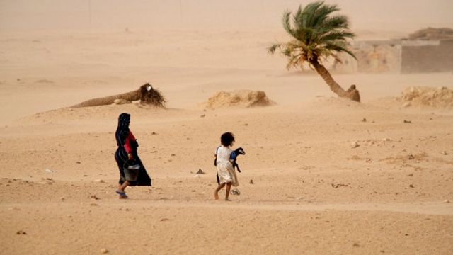sahara