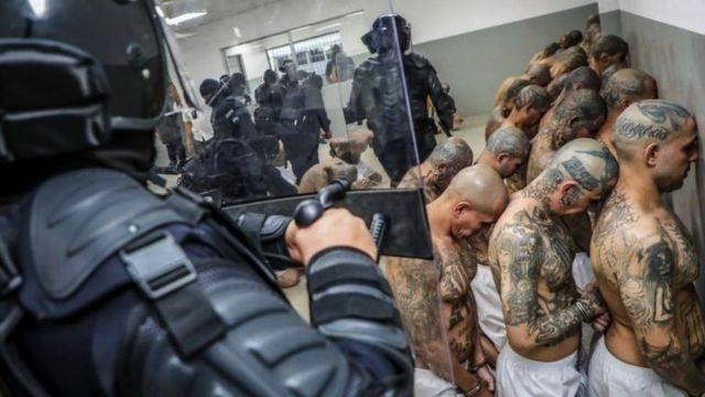 بر اساس گزارش‌ها هزاران نفر به صورت خودسر بازداشت شده‌اند و بدرفتاری در زندان‌ها رواج دارد