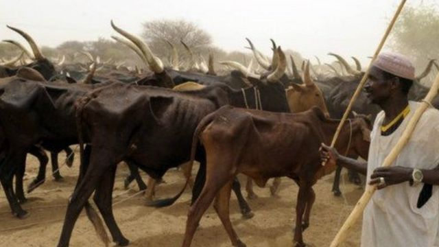 Rikici tsakanin Fulani makiyaya da manoma ya zama ruwan dare a arewacin Najeriya