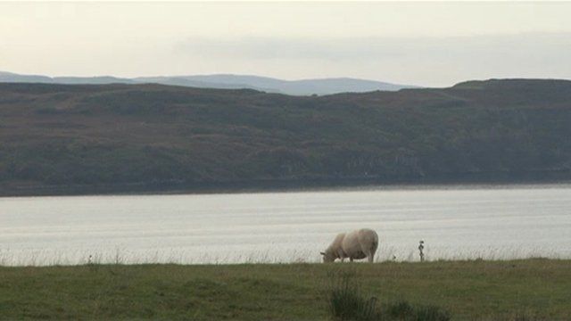 Sgìre-chroitearachd