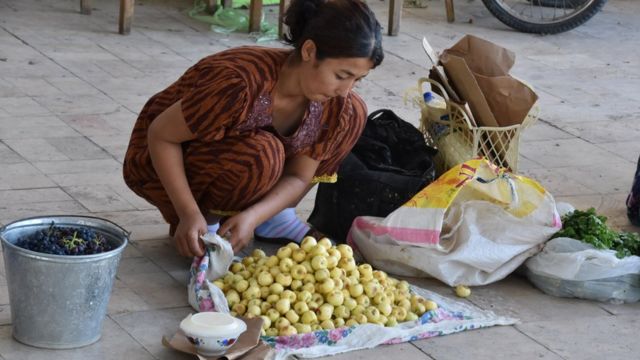 Por que a maçã não pode ter sido 'o fruto proibido de Adão e Eva', segundo  a ciência - BBC News Brasil