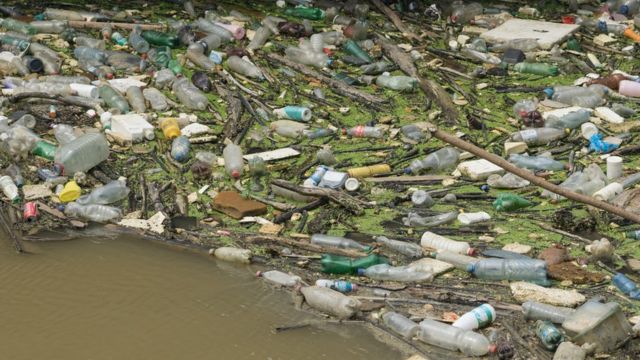 dunav zagađena voda plastične flaše