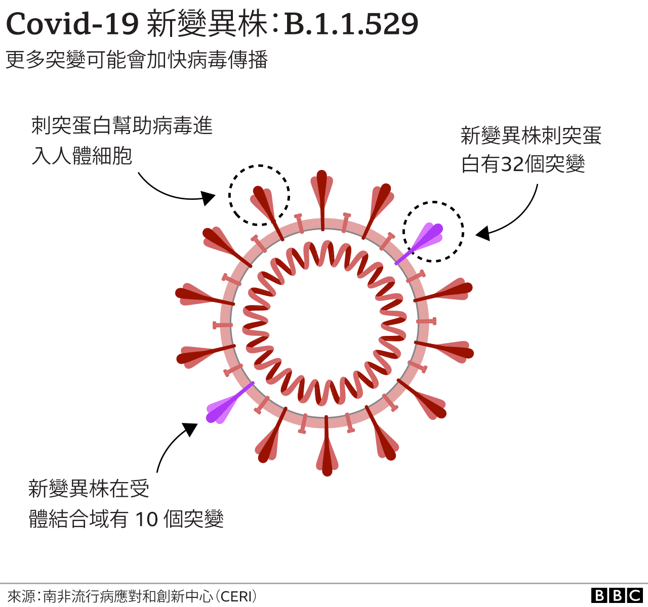 南非新變異毒株