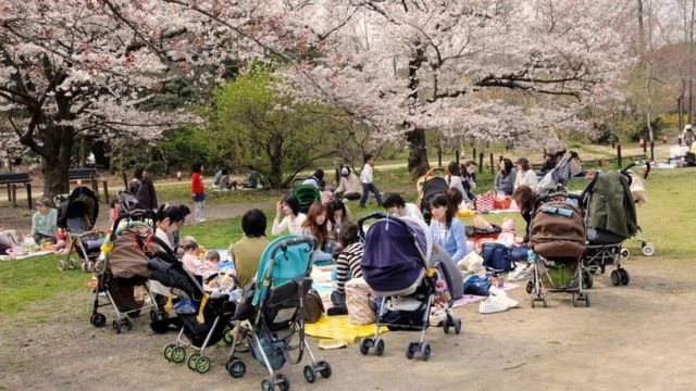 يابانيون في حديقة عامة