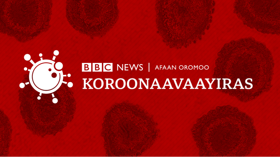 Koronaavaayiras Gaaffii Baruu Barbaaddan Ilaalchisuun Deebii Hanga Ammaa Jiru Bbc News Afaan Oromoo
