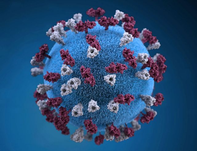 Representación 3D del virus del sarampión