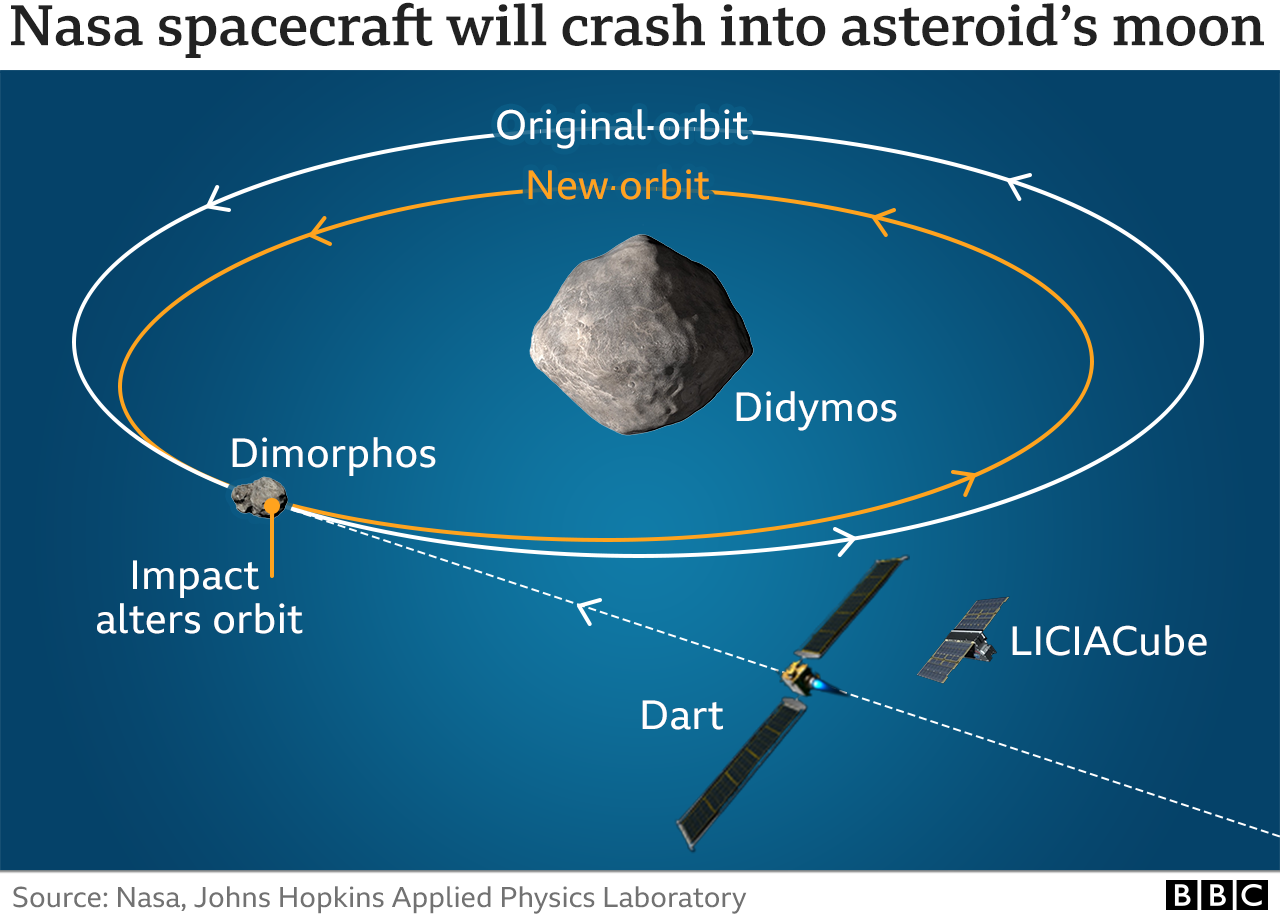 Nasa Dart asteroid spacecraft: Mission to smash into Dimorphos space rock  launches - BBC News