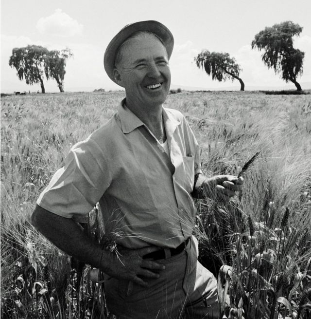 Norman Borlaug: el hombre que salvó a millones de personas de la hambruna y  recibió el Nobel de la Paz por su trabajo en México - BBC News Mundo