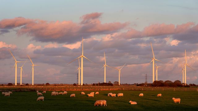 Una "granja de viento" en Reino Unido.