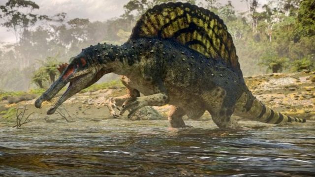 स्पाइनोसरस