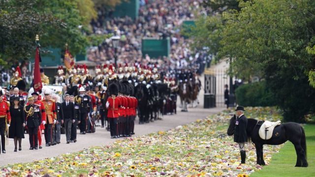 Emma, el pony de la reina, saludó a la procesión.