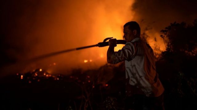 Homem combate incêndio no Pantanal em 2020