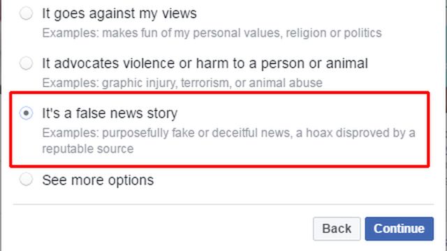 Facebook screen for reporting false news story