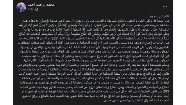 محمد إبراهيم أحمد، وهو قانوني يقول إنه حاصل الدكتوراة في الشريعة الإسلامية، فند تصريحات أبو القمصان لافتاً إلى أنها "ليست صحيحة بالمرة".