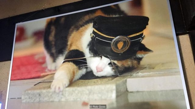 Cô mèo nổi tiếng - Nhật: Nếu bạn là tín đồ của mèo, hãy thưởng thức bức tranh về một cô mèo nổi tiếng tại Nhật. Bức tranh sẽ đưa bạn vào thế giới của những chú mèo xinh đẹp, dễ thương và thông minh. Bạn sẽ không muốn bỏ lỡ dịp để xem bức tranh này.
