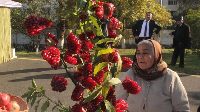Nar festivalı