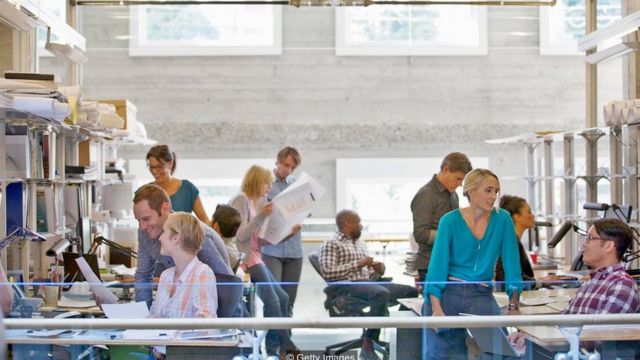 Офис открытого типа - мучение или удовольствие? - BBC News Русская служба